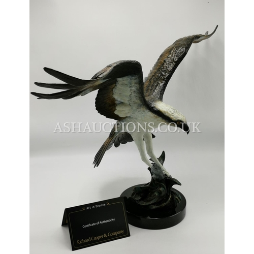 61 - SOLID FOUNDRY BRONZE Huge 67cm x 42cm (Weight 11.7kg) MODEL OF AN OSPREY CATCHING A FISH (Sculpted B... 