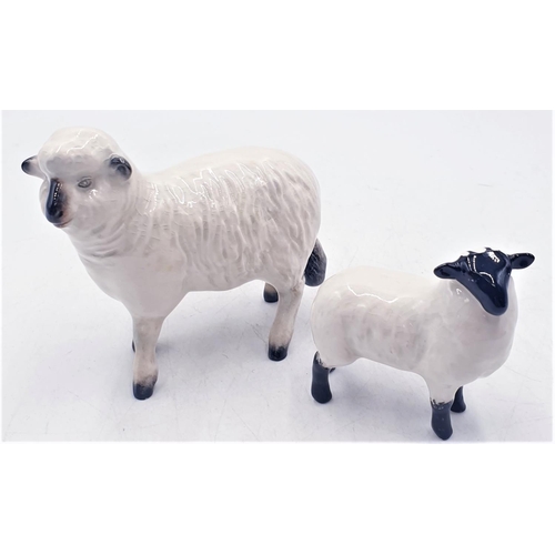 53 - BESWICK MODELS OF A SHEEP & A LAMB (Both At Fault)