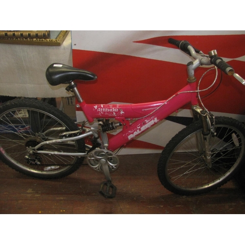 raleigh attitude mountain bike
