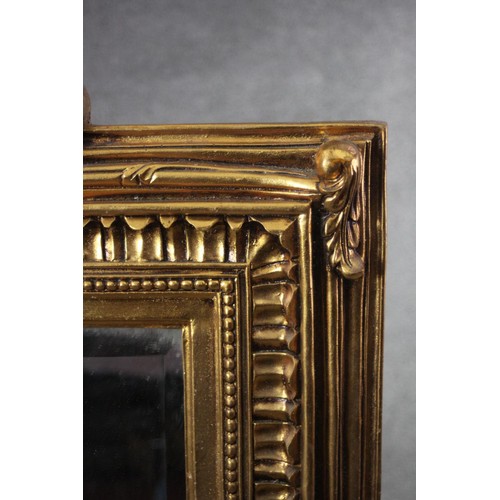 159 - A gilt framed pier mirror with bevelled plate in foliate decorated frame. H.150 W.103 cm.