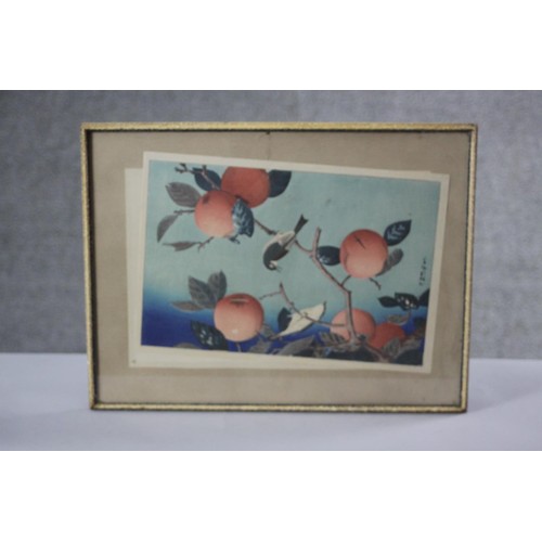 232 - A framed and glazed 19th century Japanese woodblock print of birds in a persimmon tree, with artists... 