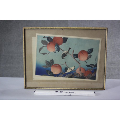 232 - A framed and glazed 19th century Japanese woodblock print of birds in a persimmon tree, with artists... 