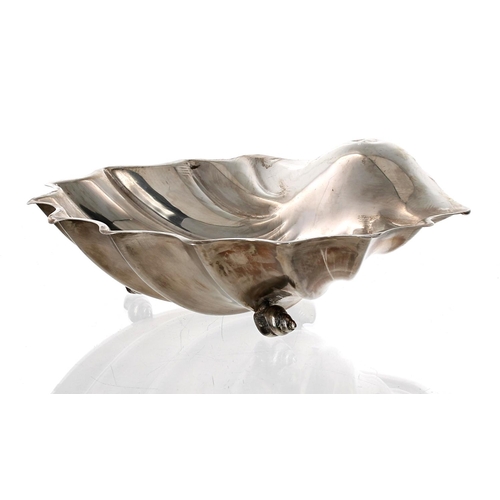513 - Atkin Brothers silver scallop shell dish, raised on three small conch shell feet, Sheffield 1901, 10... 