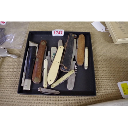 1747 - Thirteen old penknives. 