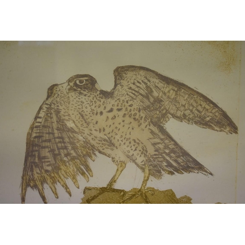1388 - Elisabeth Frink, 'Goshawk', signed and numbered, 10/50, aquatint, pl.53.5 x 46.58cm