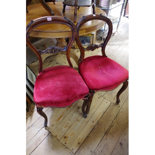 1127 - A pair of Victorian carved walnut balloon back dining chairs, one labelled 'From T H Filmer & So... 