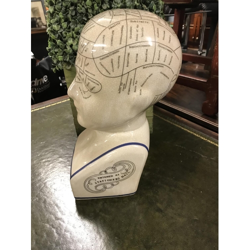 384A - Large ceramic Phrenology head...