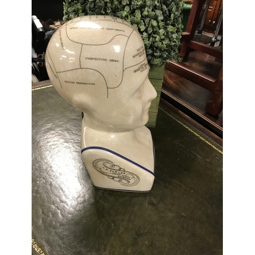 384A - Large ceramic Phrenology head...