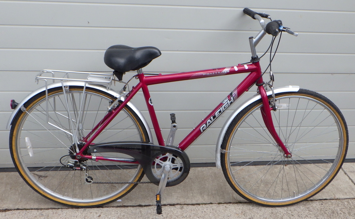 raleigh pioneer 120