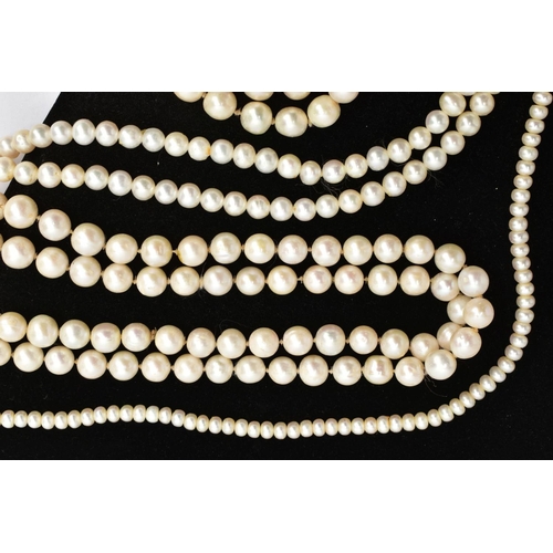43 - SIX STRANDS OF CULTURED PEARLS,  to include two strands of white pearls individually knotted, approx... 