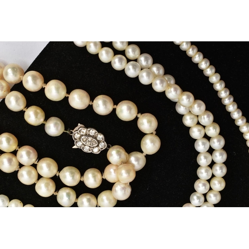 43 - SIX STRANDS OF CULTURED PEARLS,  to include two strands of white pearls individually knotted, approx... 