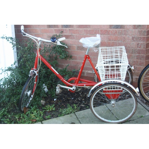 pashley picador tricycle with child seats