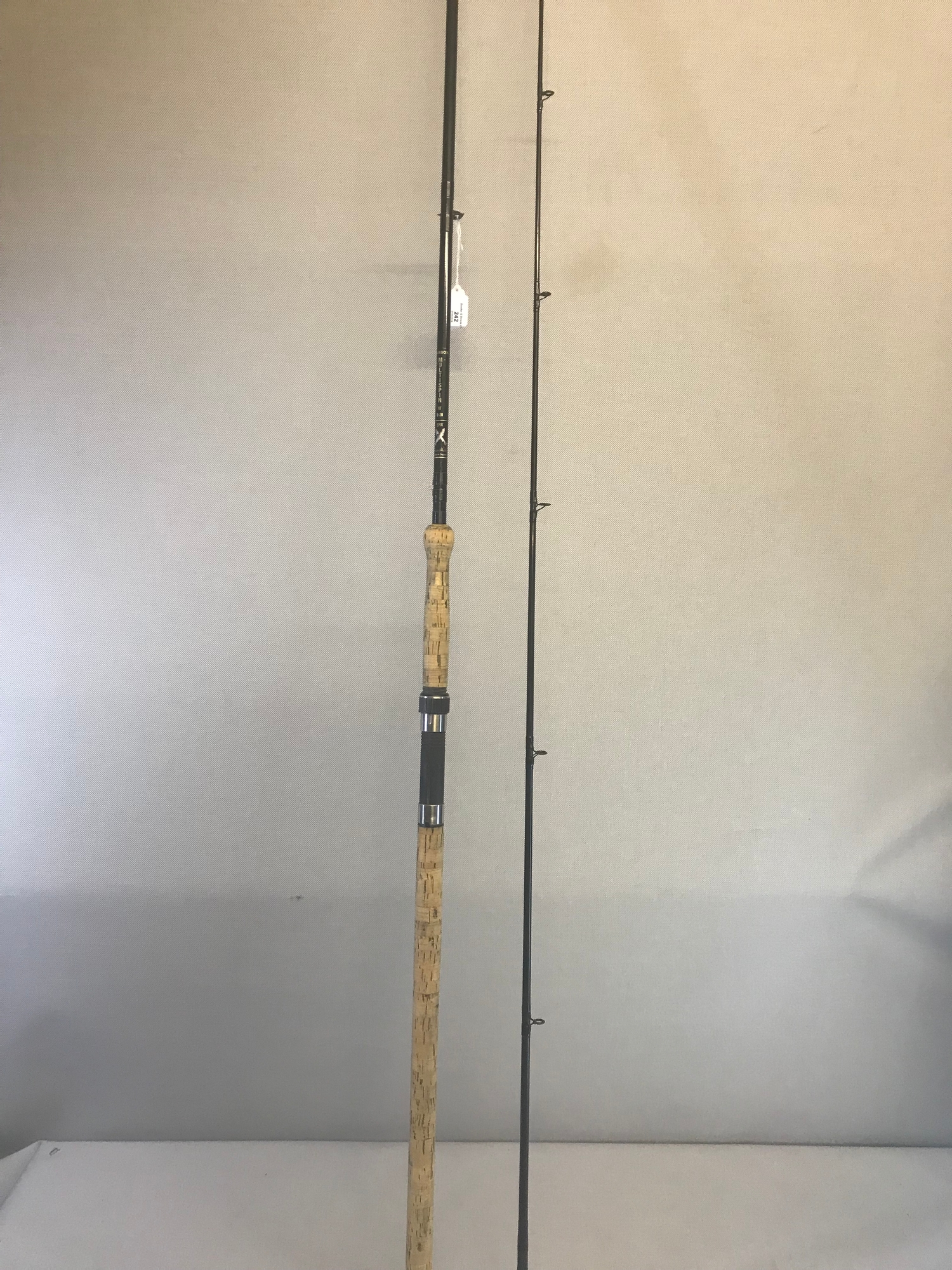 10ft salmon spinning rods