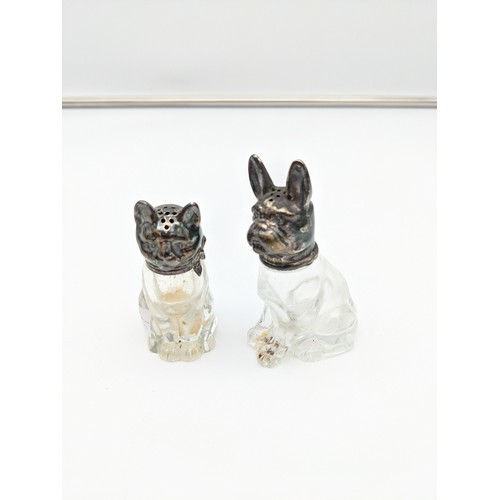 28 - A 900 Grade silver and glass cruet set in the form of a pug dog and a cat. [PUG AS FOUND]