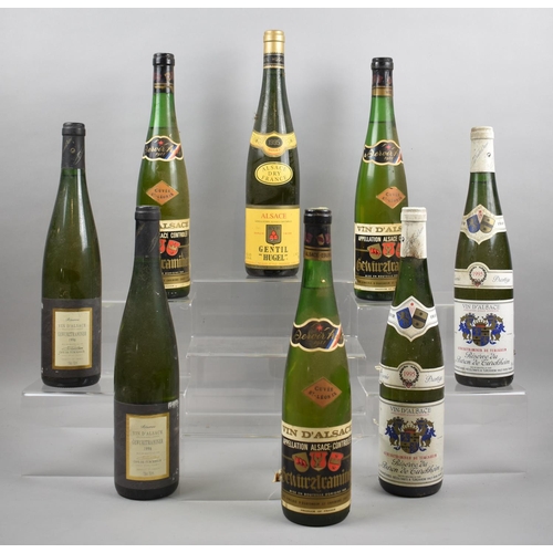 56 - A Collection of Eight Bottles of White Wine to Include 1981 and 1995 Alsace, 1996 Gewurztraminer and... 