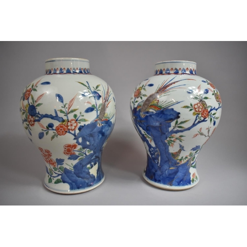 375 - A Pair of 18th/19th Century Chinese Vases of Baluster Form Decorated in the Wucai Palette with Birds... 