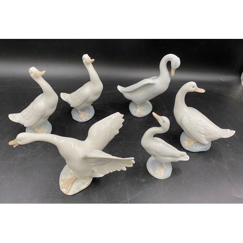 63 - A selection of five white duck figurines comprising one small Lladro 12cms, four Lladro Nao 3 x15cms... 