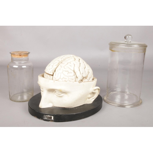 4 - Franz Josef Steger, a late 19th century anatomical model of a brain along with two glass storage jar... 