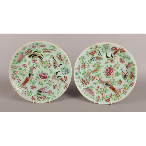 56 - Two Twentieth Century Chinese Celadon 'Famille Rose' ceramic dishes, 26cm diameter.