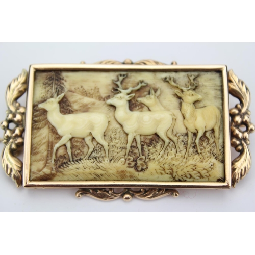 104 - An Early Victorian carved ivory brooch in a gold frame.