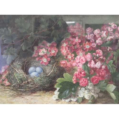 29 - Juliet Knowles - 'Birds Nest among Hawthorne'  watercolour  bears initials  8