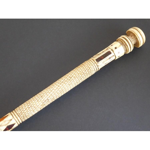 narwhal tusk cane