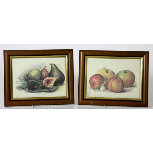 38 - An attractive set of 8 coloured Prints depicting various Fruit, in oak frames. (8)