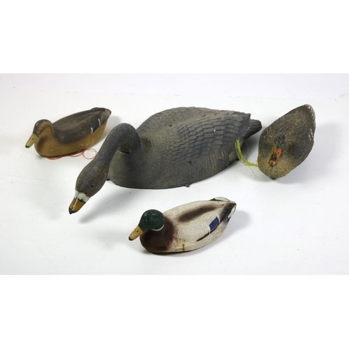 59 - A large collection of rubber Duck & Goose Decoys, as a lot, w.a.f. (1)