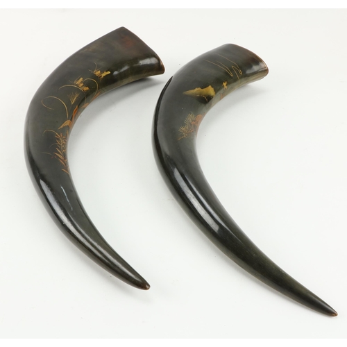 34 - An unusual pair of 19th Century Animal Horns, with lacquer decoration in the Oriental style, approx.... 