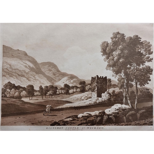 13 - After Jonathan Fisher, Irish (1740 - 1809)A set of 4 sepia engraved Prints, to include:* View of the... 