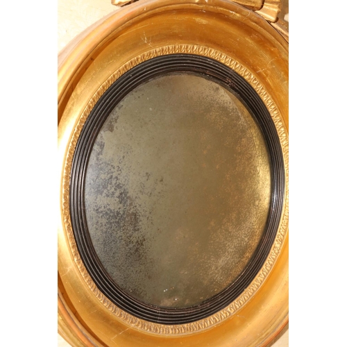 47 - A Regency period Convex Mirror, the carved giltwood frame crested with a stylized dolphin above leaf... 