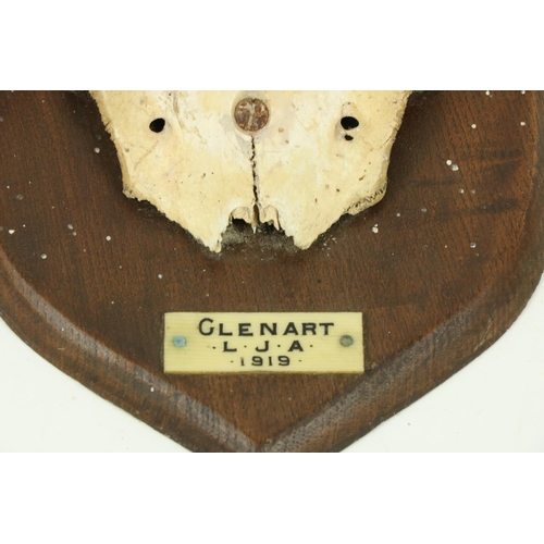 61 - Two pairs of mounted Stag Antlers, each on a shield shaped panel and inscribed Ghenart L.J.A. 1919, ... 