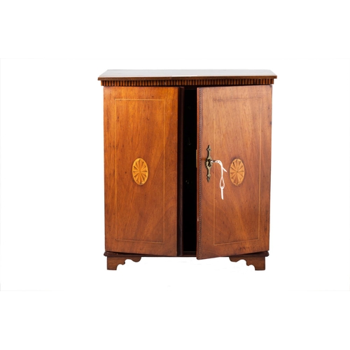 AN EDWARDIAN INLAID SATINWOOD TWO DOOR MINIATURE CABINET, with inlaid adamesque ovals field by strin