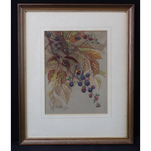 443 - Blamey, Marjorie. Watercolour illustration depicting a Painted Lady butterfly and brambles. Signed b... 