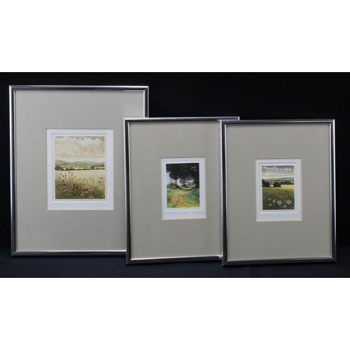 450 - Collection of six prints to include five limited edition colour etchings by artist Mary George. Each... 