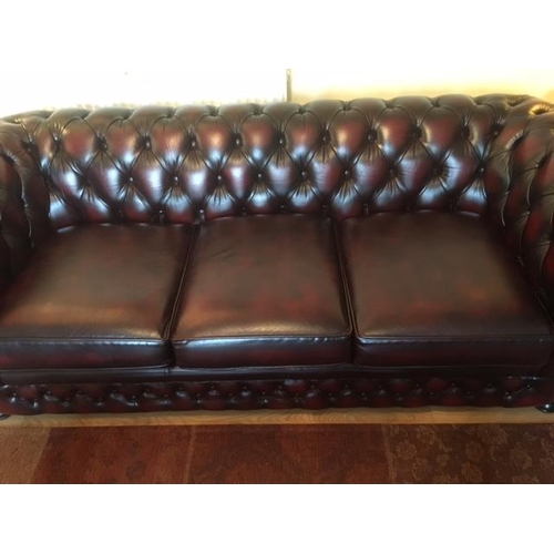 28 - A Thomas Lloyd leather Chesterfield settee sofa bed - as new, only a few months old