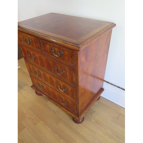 29 - A yew oyster veneer chest of small proportions with two short over three long drawers on turned feet... 
