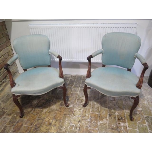 57 - A pair of carved open armchairs with scroll arms on shaped carved front legs with horsehair stuffing... 