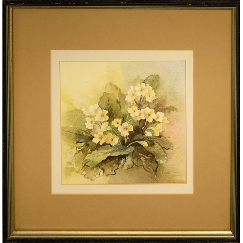 37 - RENATE DAVIS 'Primroses', 2002, watercolour, signed and dated lower right, 21cm x 21cm, framed and g... 