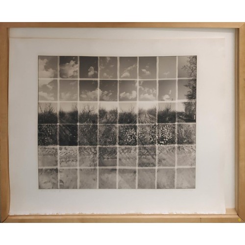 59 - NOEL MYLES (B.1947) 'Orchards, April', platinum print, signed, titled, numbered, 53cm x 60cm, framed... 