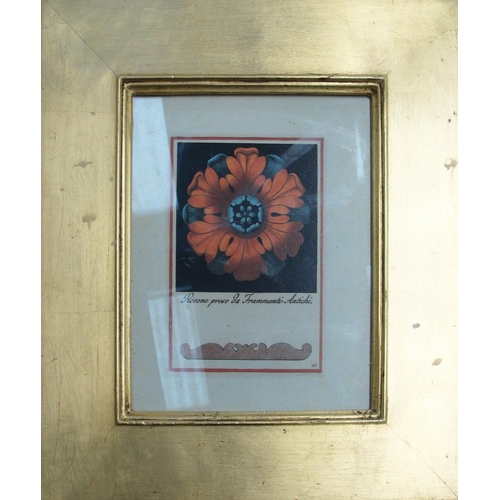 58 - ROSES DESIGNS, a set of six colour prints, 38cm x 33cm overall each, in matching gilt frames. (6)