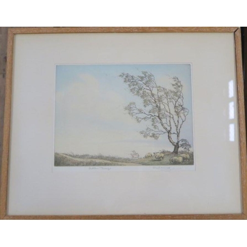 Alice Barnwell, coloured etching, Autumn Breeze, signed and blind ...