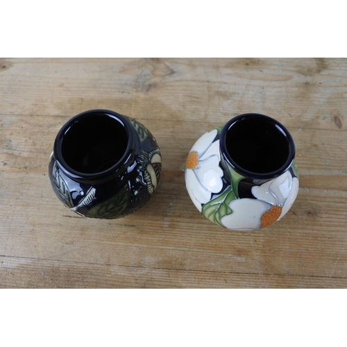303 - Two stunning limited edition Moorcroft vase 41/50 and 16/20