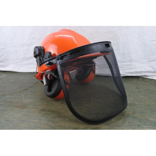 6 - A Rocwood chainsaw helmet.