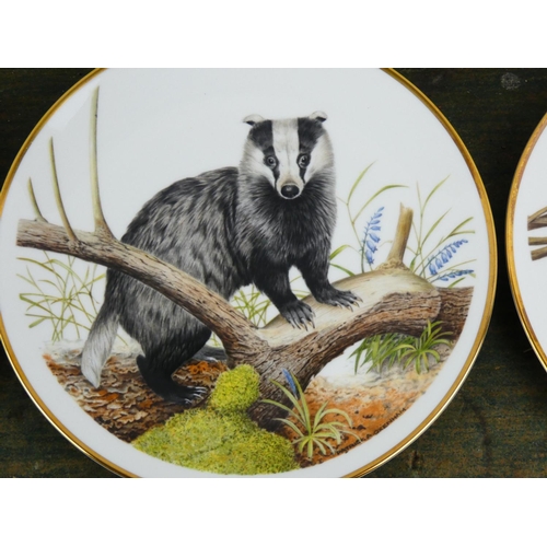 79 - A stunning set of six Wedgwood 'Wildlife of Britain' collectors plates.