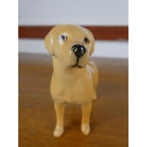 39 - A Beswick Labrador dog.