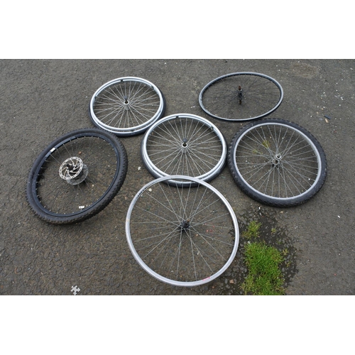 6 - An assortment of bicycle tyres.
