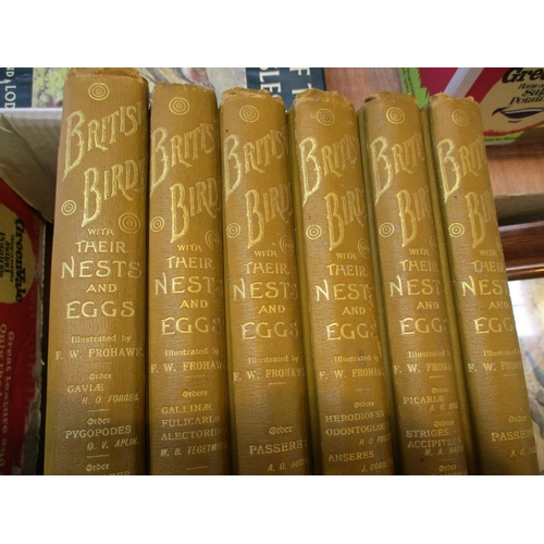 6 - Six Books - British Birds and Their Nests and Eggs