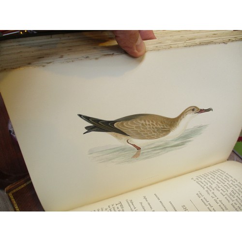 7 - Six Books - A History of British Birds by F O Morris