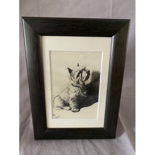 4 - A signed pen and ink study of a Westie Terrier on an ivorine panel, framed - 4 1/4in. x 3in.